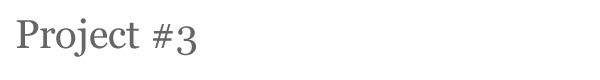 project03