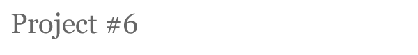 project06