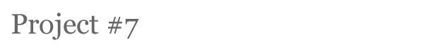 project07