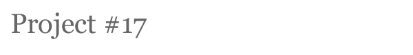Project17